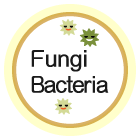 真菌Fungi細菌Bacteria